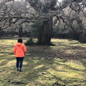 Sophie on a woodland walk