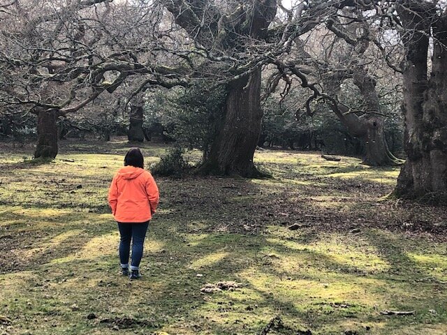 Sophie on a woodland walk