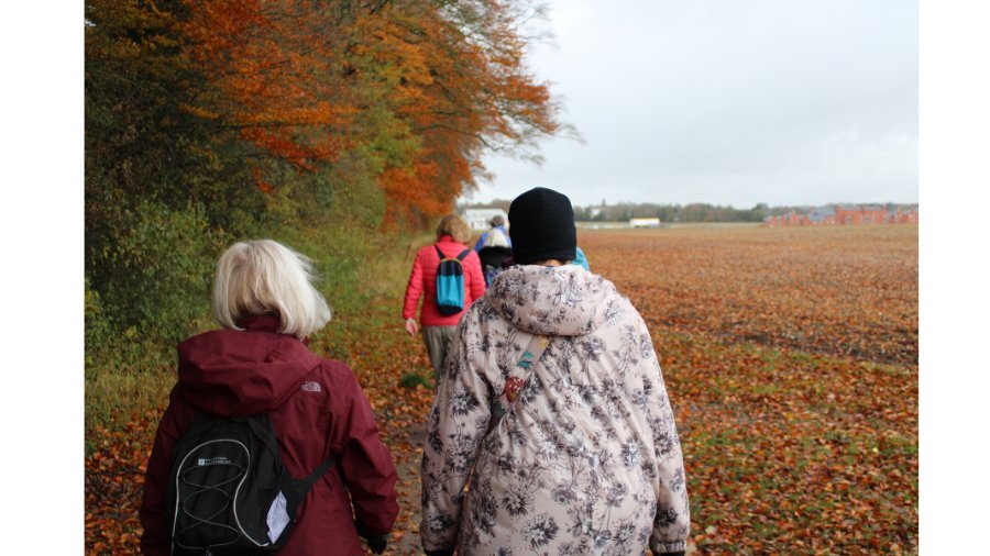 Winchester walking for health group walk