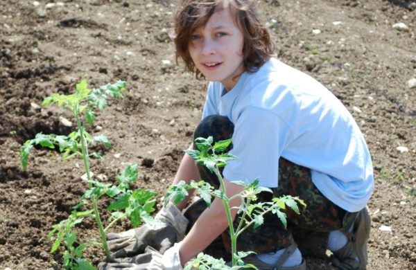 Child gardening and taking part in bushcraft activities