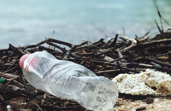 Plastic bottle from physical activity/sport drink lying on beach