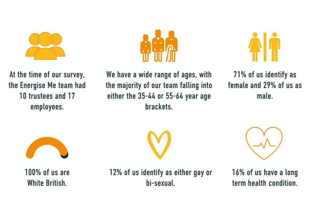 An info graphic detailing the EM team has 10 trustees and 17 employees. The majority of our team are aged between 35-64. 71% identify as female and 29% male. 100% are white british. 12% identify as either gay or bisexual. 16% of us have a long term health condition. 