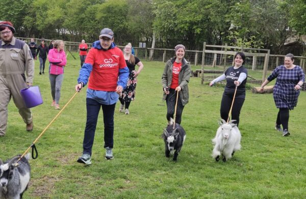 Members of good gym walking goats across a field