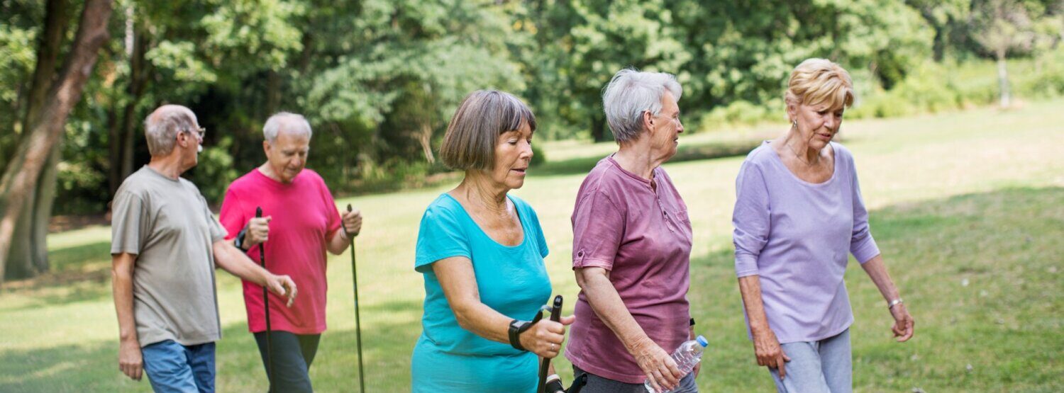 A group of five people walking through the park on a summer's day.