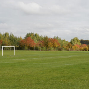Open green space with a goal post, trees along the horizon line.